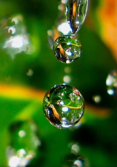 Алгоритм всего